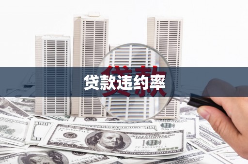 洞口贷款违约率