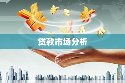 洞口贷款市场分析