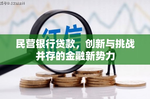 洞口民营银行贷款，创新与挑战并存的金融新势力