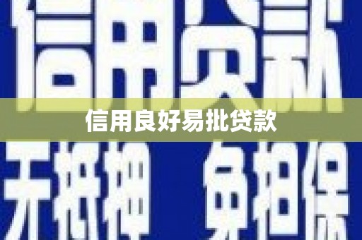 洞口信用良好易批贷款