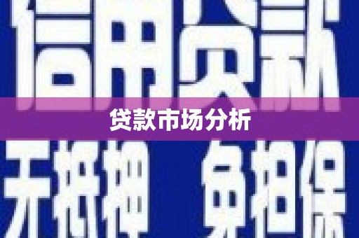 洞口贷款市场分析