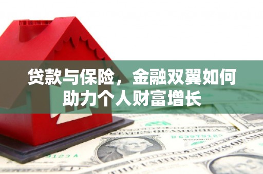 洞口贷款与保险，金融双翼如何助力个人财富增长
