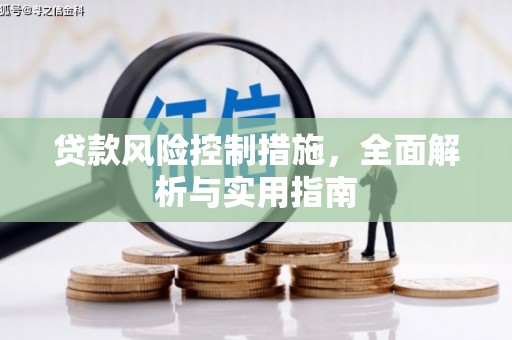 洞口贷款风险控制措施，全面解析与实用指南