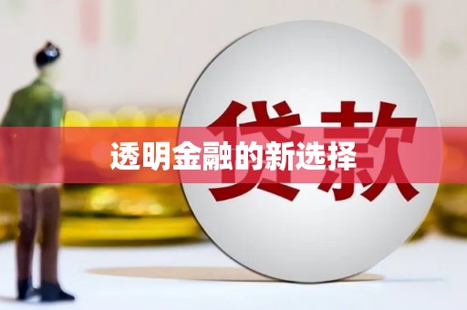 洞口透明金融的新选择