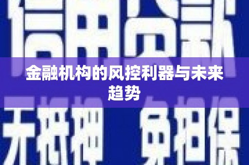 洞口金融机构的风控利器与未来趋势