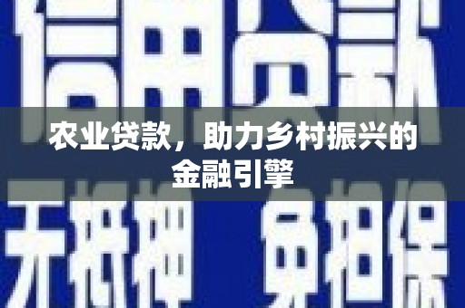 洞口农业贷款，助力乡村振兴的金融引擎
