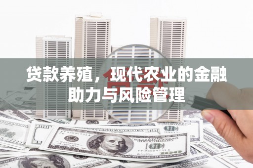 洞口贷款养殖，现代农业的金融助力与风险管理