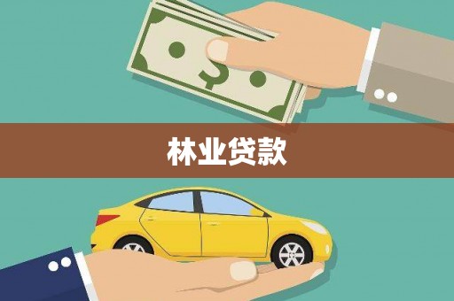 洞口林业贷款