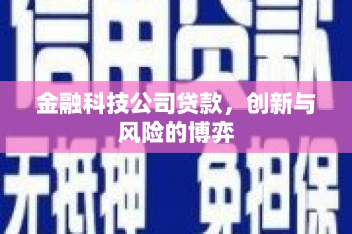 洞口金融科技公司贷款，创新与风险的博弈