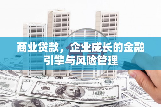 洞口商业贷款，企业成长的金融引擎与风险管理