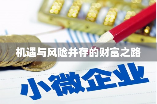 洞口机遇与风险并存的财富之路