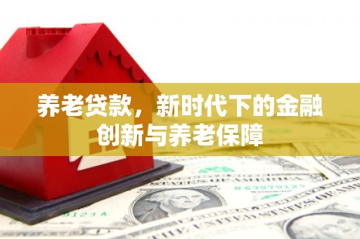 洞口养老贷款，新时代下的金融创新与养老保障