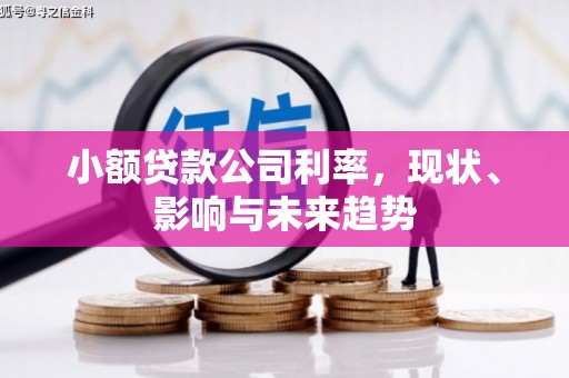洞口小额贷款公司利率，现状、影响与未来趋势
