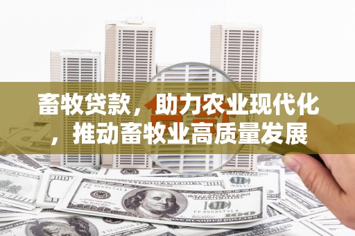 洞口畜牧贷款，助力农业现代化，推动畜牧业高质量发展