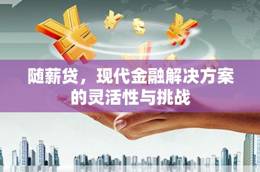 洞口随薪贷，现代金融解决方案的灵活性与挑战