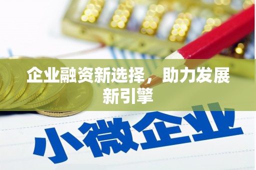 洞口企业融资新选择，助力发展新引擎