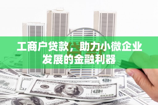 洞口工商户贷款，助力小微企业发展的金融利器