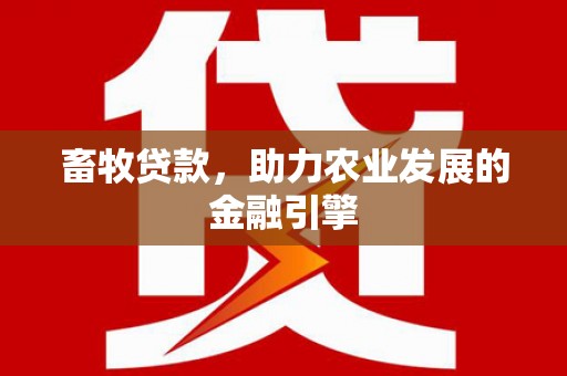 洞口畜牧贷款，助力农业发展的金融引擎