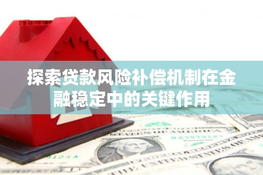 洞口探索贷款风险补偿机制在金融稳定中的关键作用