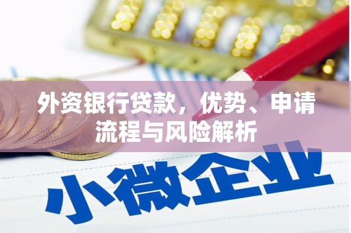 洞口外资银行贷款，优势、申请流程与风险解析