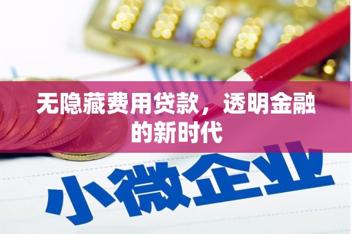 洞口无隐藏费用贷款，透明金融的新时代