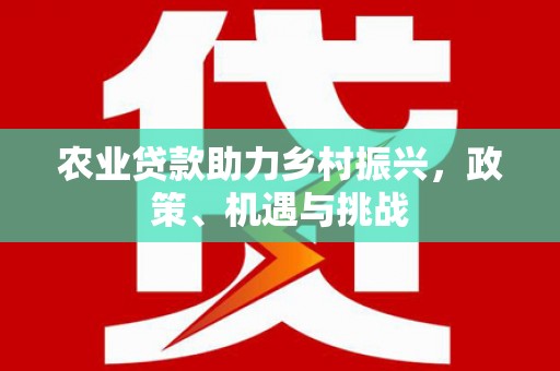 洞口农业贷款助力乡村振兴，政策、机遇与挑战