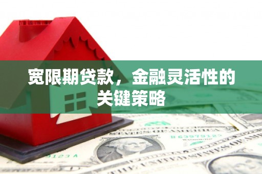 洞口宽限期贷款，金融灵活性的关键策略