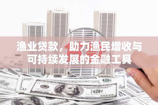 洞口渔业贷款，助力渔民增收与可持续发展的金融工具