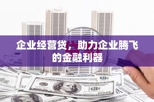 洞口企业经营贷，助力企业腾飞的金融利器