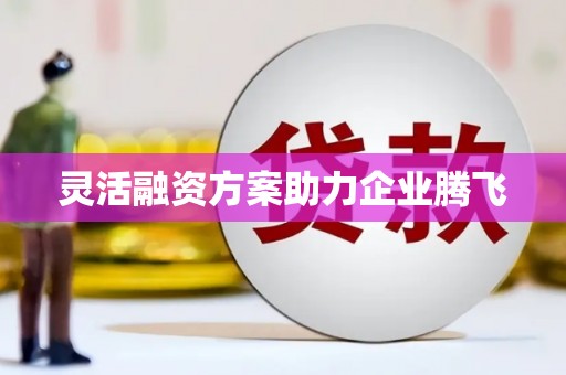 洞口灵活融资方案助力企业腾飞