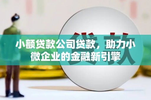 洞口小额贷款公司贷款，助力小微企业的金融新引擎