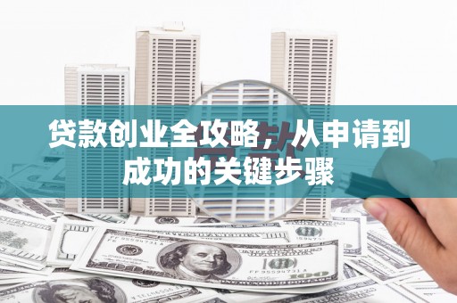 洞口贷款创业全攻略，从申请到成功的关键步骤