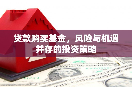 洞口贷款购买基金，风险与机遇并存的投资策略