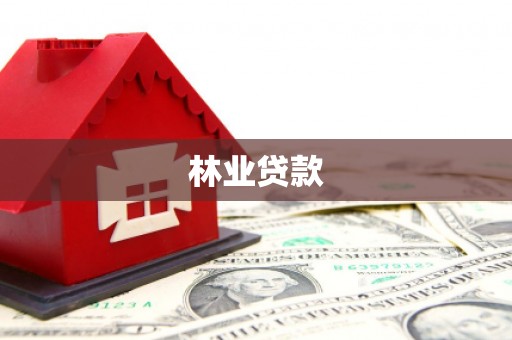 洞口林业贷款