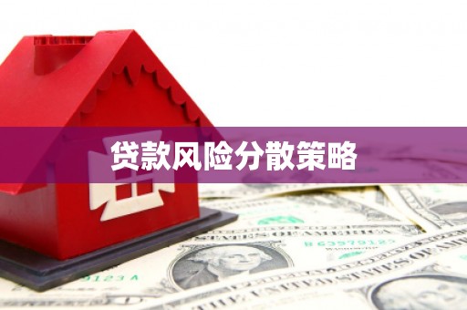 洞口贷款风险分散策略