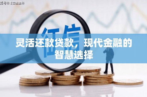 洞口灵活还款贷款，现代金融的智慧选择
