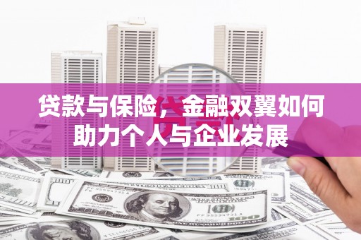 洞口贷款与保险，金融双翼如何助力个人与企业发展