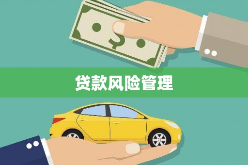 洞口贷款风险管理