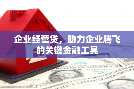 洞口企业经营贷，助力企业腾飞的关键金融工具