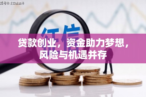 洞口贷款创业，资金助力梦想，风险与机遇并存