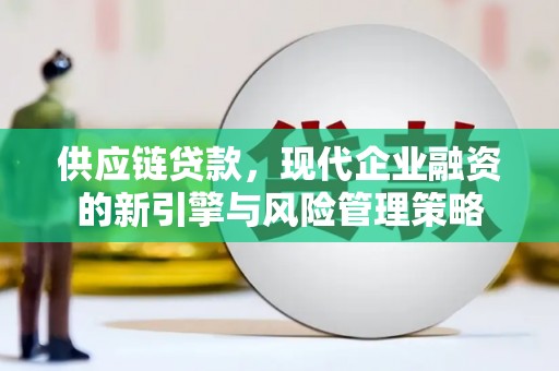 洞口供应链贷款，现代企业融资的新引擎与风险管理策略