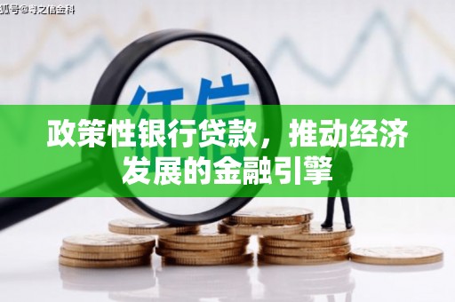 洞口政策性银行贷款，推动经济发展的金融引擎