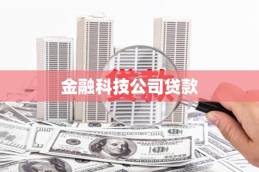 洞口金融科技公司贷款