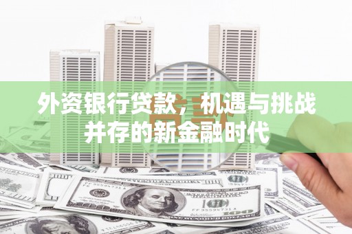 洞口外资银行贷款，机遇与挑战并存的新金融时代