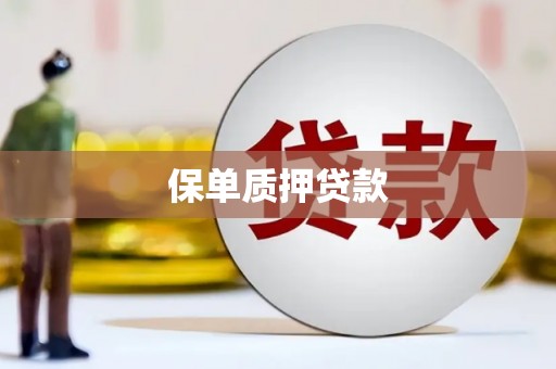 洞口保单质押贷款
