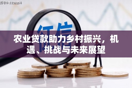 洞口农业贷款助力乡村振兴，机遇、挑战与未来展望