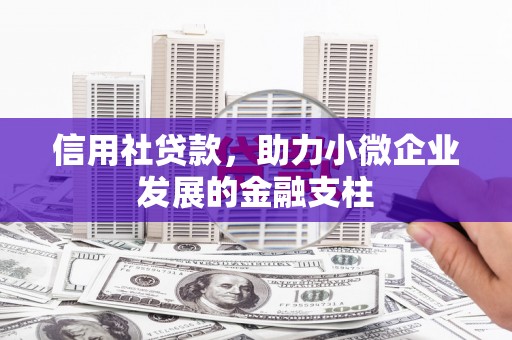 洞口信用社贷款，助力小微企业发展的金融支柱