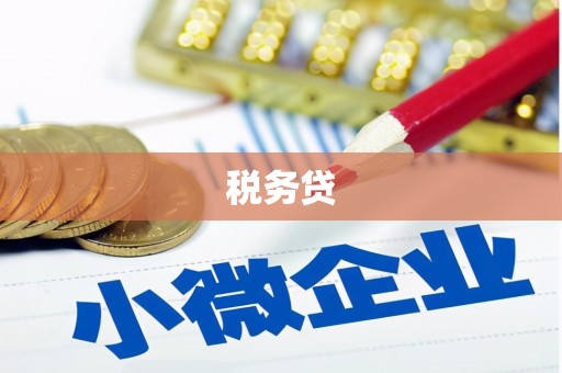 洞口税务贷