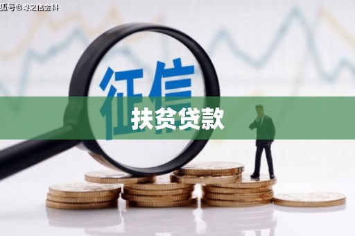 洞口扶贫贷款