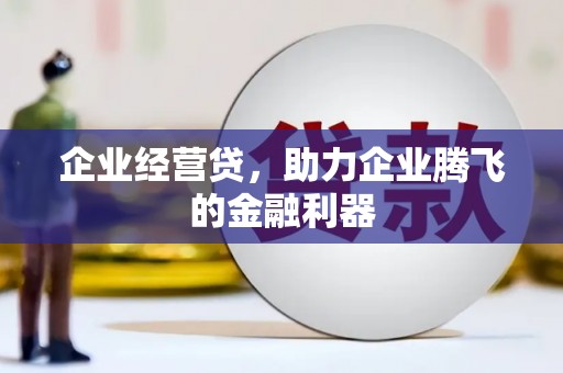 洞口企业经营贷，助力企业腾飞的金融利器